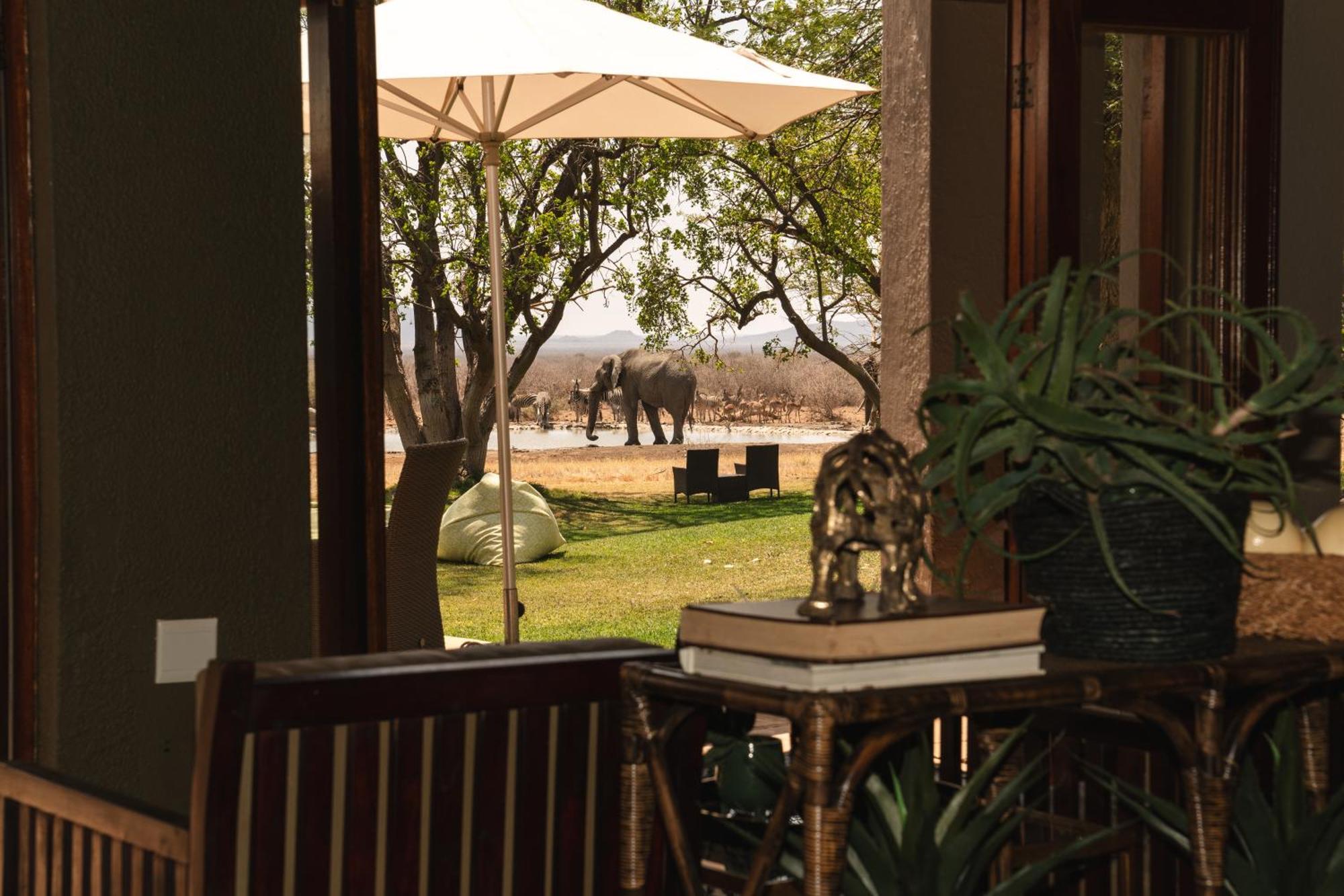 Last Word Madikwe Reserva de Madikwe Exterior foto