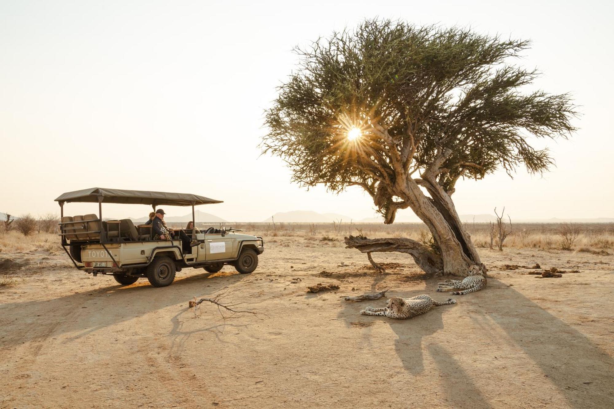 Last Word Madikwe Reserva de Madikwe Exterior foto