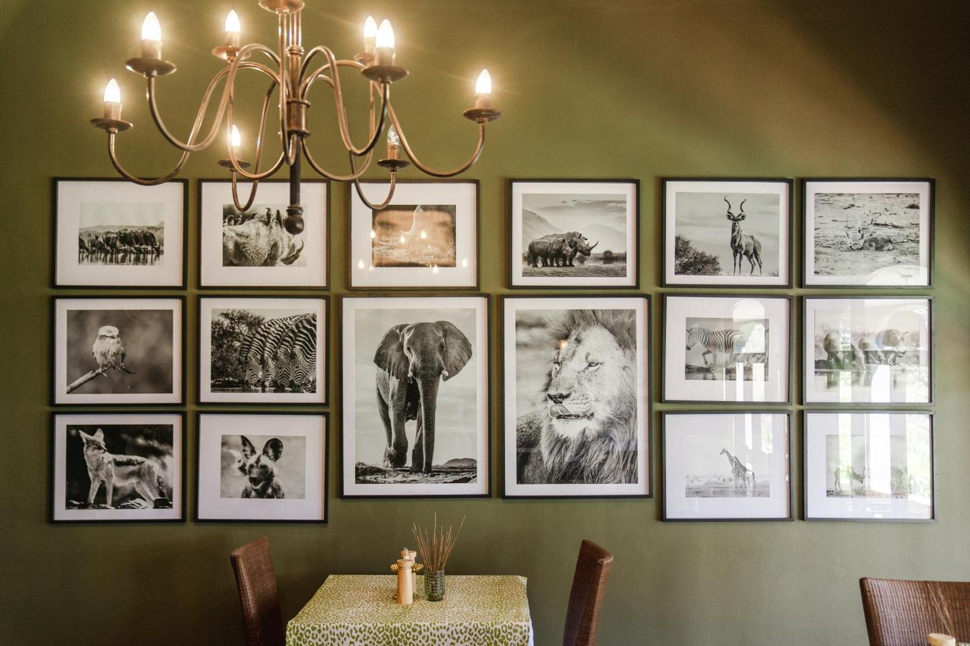 Last Word Madikwe Reserva de Madikwe Exterior foto
