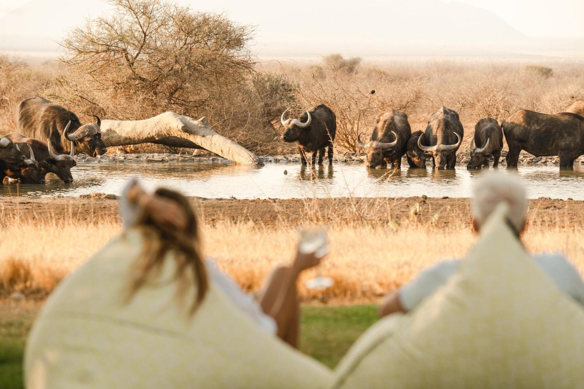 Last Word Madikwe Reserva de Madikwe Exterior foto