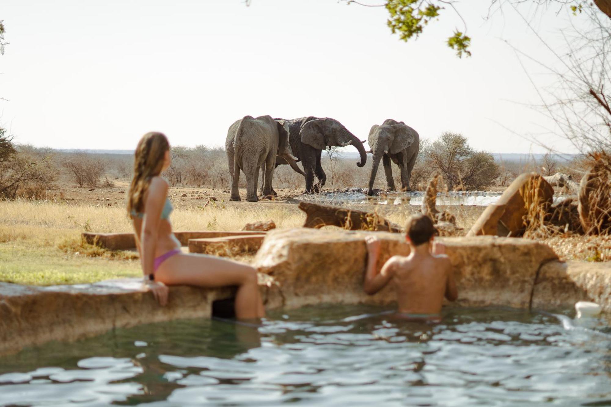 Last Word Madikwe Reserva de Madikwe Exterior foto