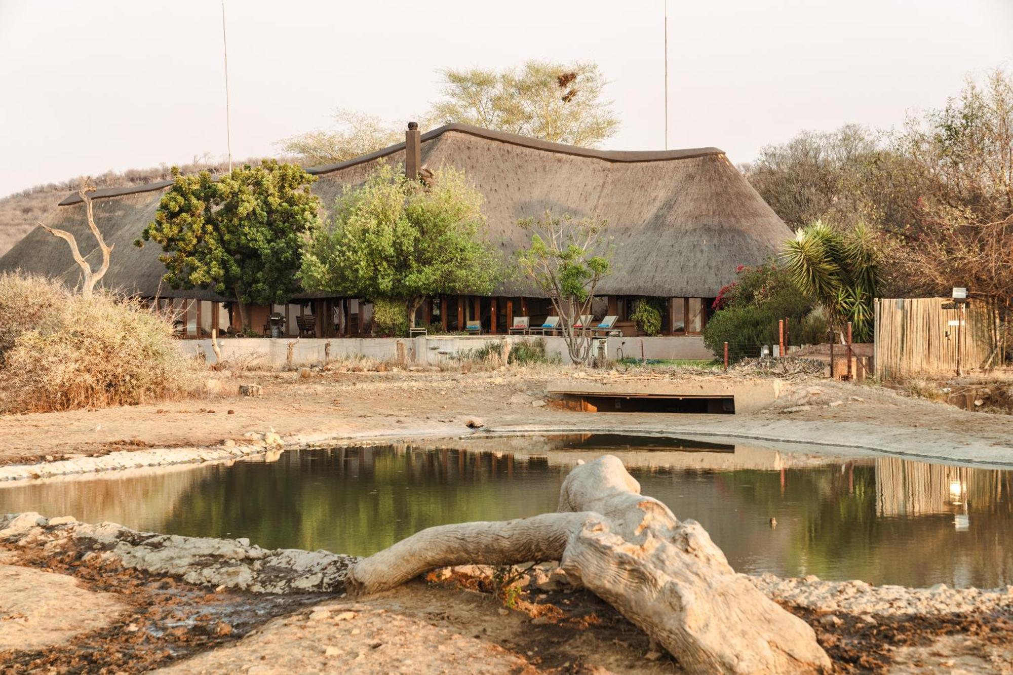 Last Word Madikwe Reserva de Madikwe Exterior foto